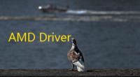 AMD Driver Autodetect(AMD显卡驱动检测工具)