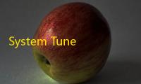 System TuneUp(系统调整工具)
